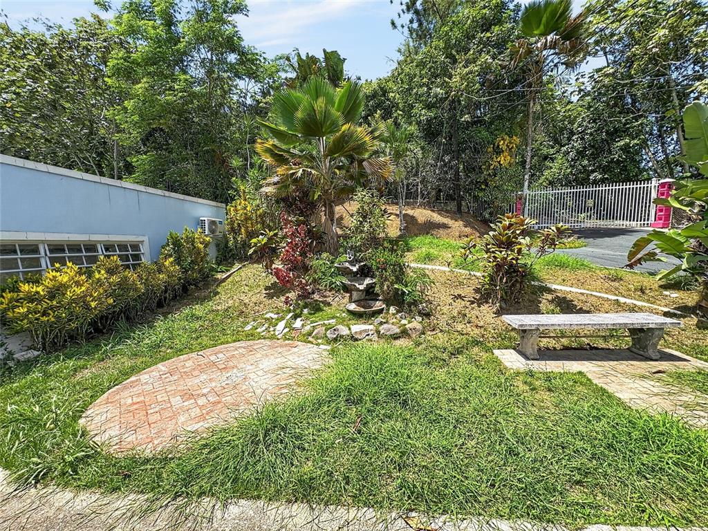 , Bayamon - 34