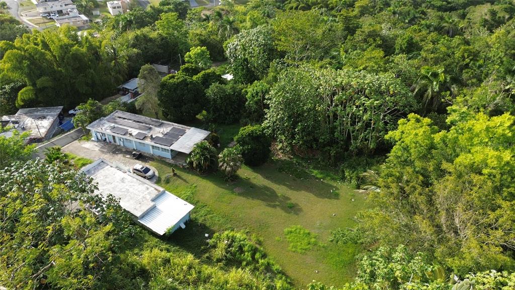 , Bayamon - 36