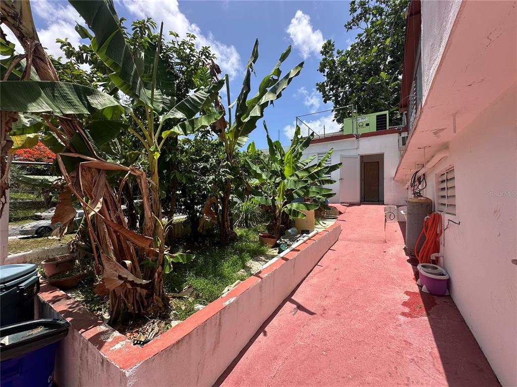 Calle 5, Comunidad Rural Villa Borinquen, Canovanas - 11