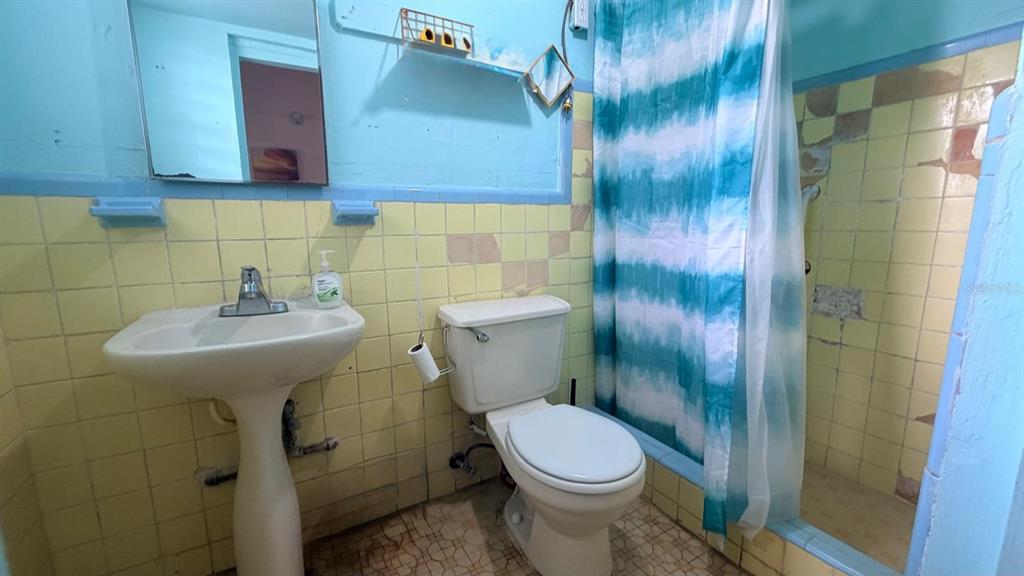 171, Yagrumo Street. Barrio Corrales, Aguadilla - 11