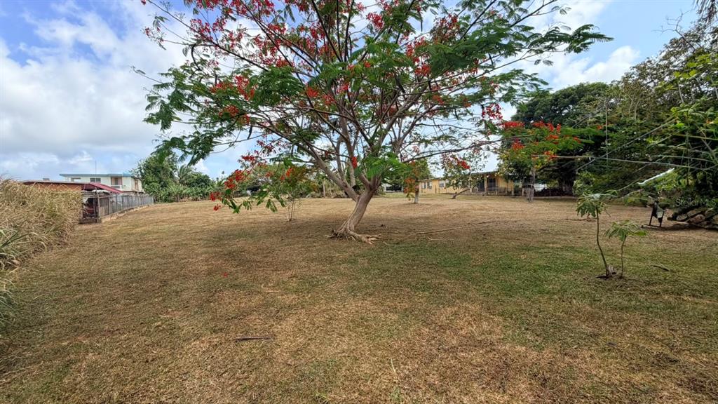 171, Yagrumo Street. Barrio Corrales, Aguadilla - 4