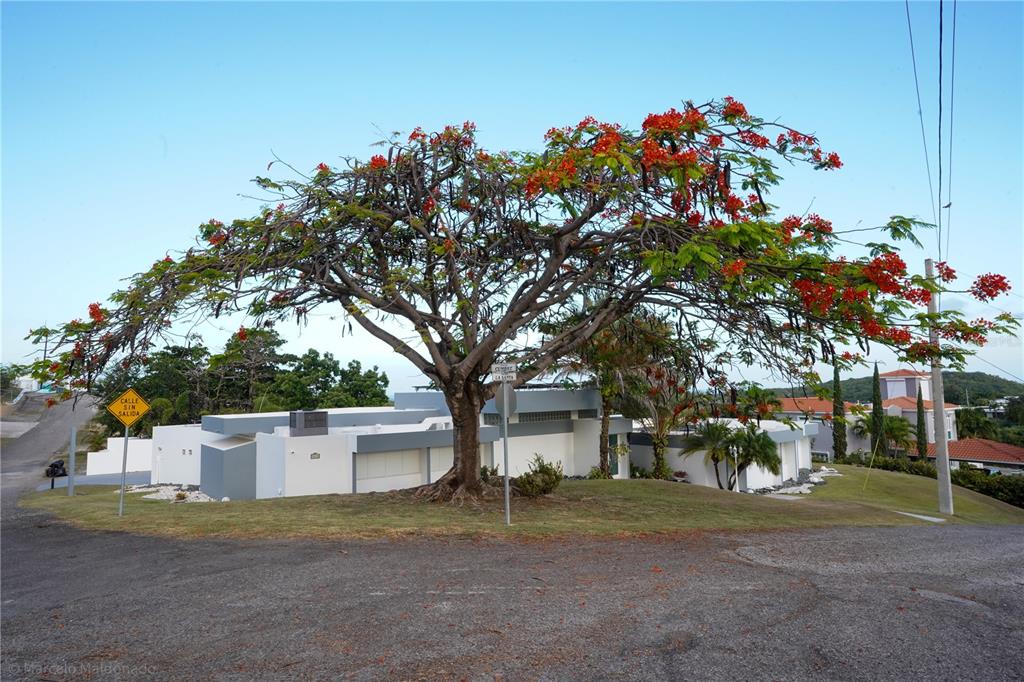 3505, La Santa El Monte, Ponce - 44
