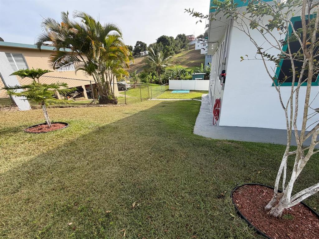 282, Ave. Felix Rios, Aibonito - 19