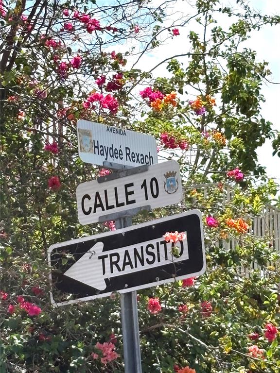 2055, Haydee Rexach, San Juan - 38