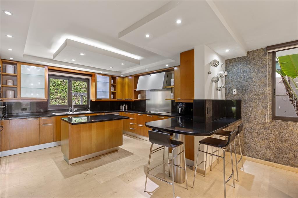 #9 Palma Real, Estancias De Torrimar, Guaynabo - 9