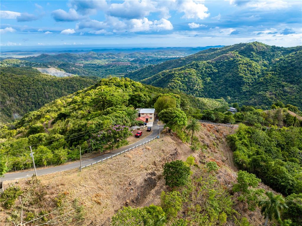 Tabonuco Ward, Sr 365 Km 6.4 Int, Sabana Grande - 10