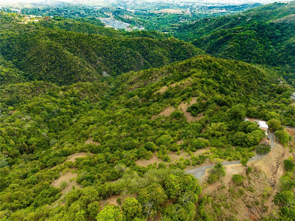 Tabonuco Ward, Sr 365 Km 6.4 Int, Sabana Grande - 2