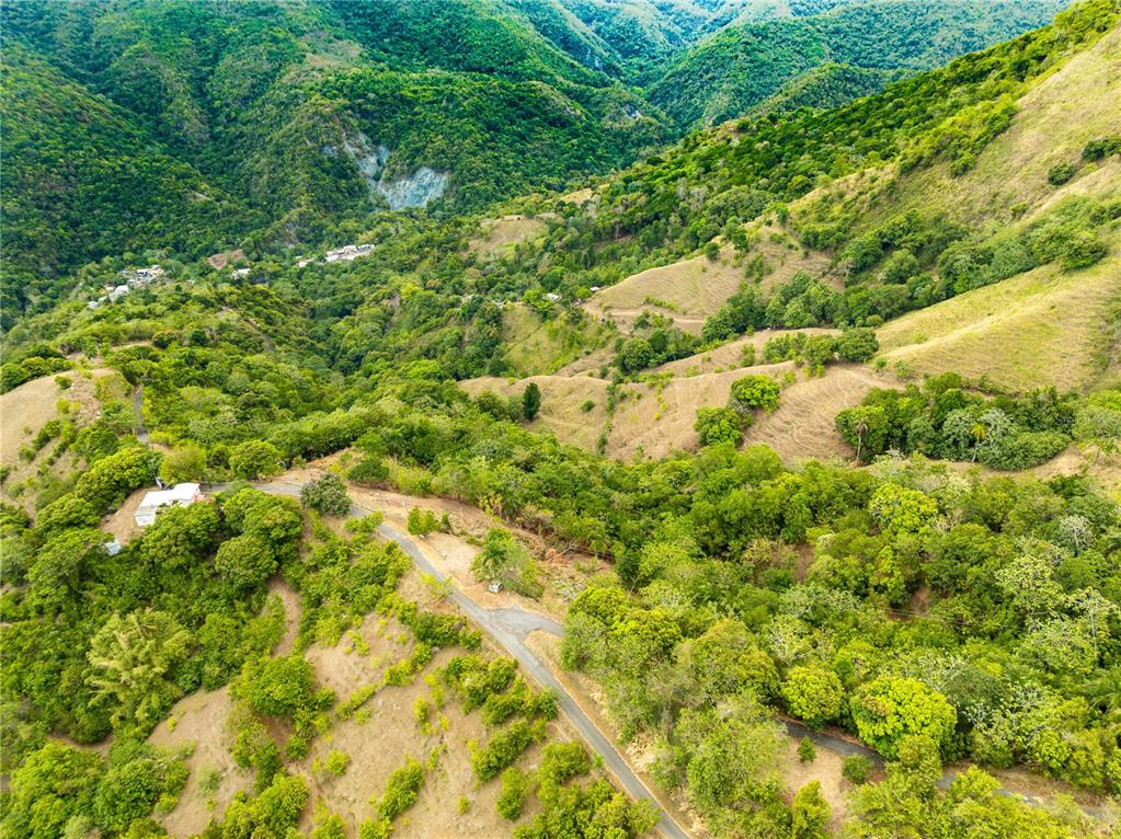 Tabonuco Ward, Sr 365 Km 6.4 Int, Sabana Grande - 3