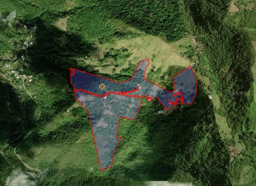 Tabonuco Ward, Sr 365 Km 6.4 Int, Sabana Grande - 31
