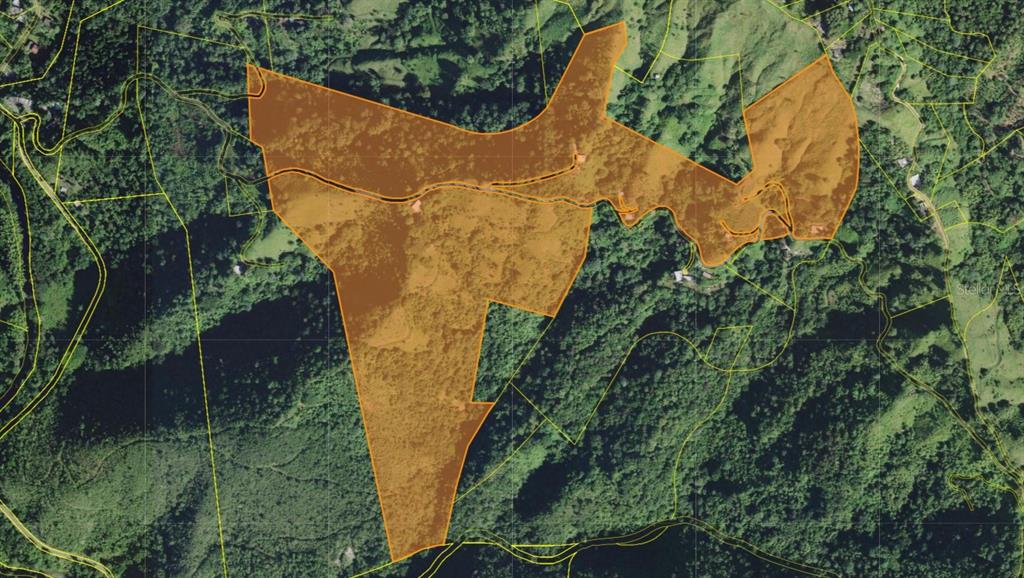 Tabonuco Ward, Sr 365 Km 6.4 Int, Sabana Grande - 32