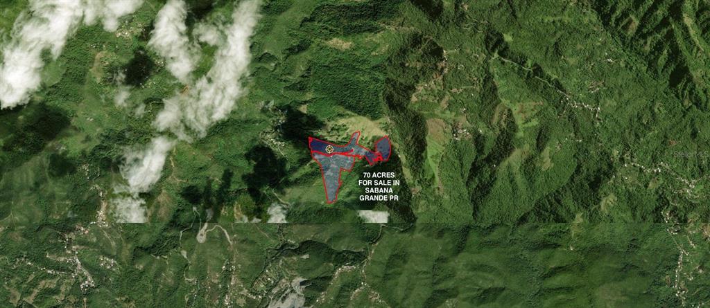 Tabonuco Ward, Sr 365 Km 6.4 Int, Sabana Grande - 33