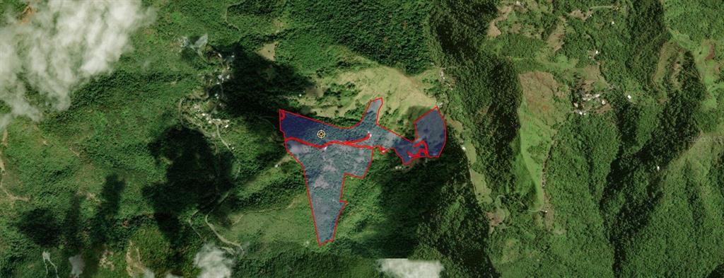 Tabonuco Ward, Sr 365 Km 6.4 Int, Sabana Grande - 35