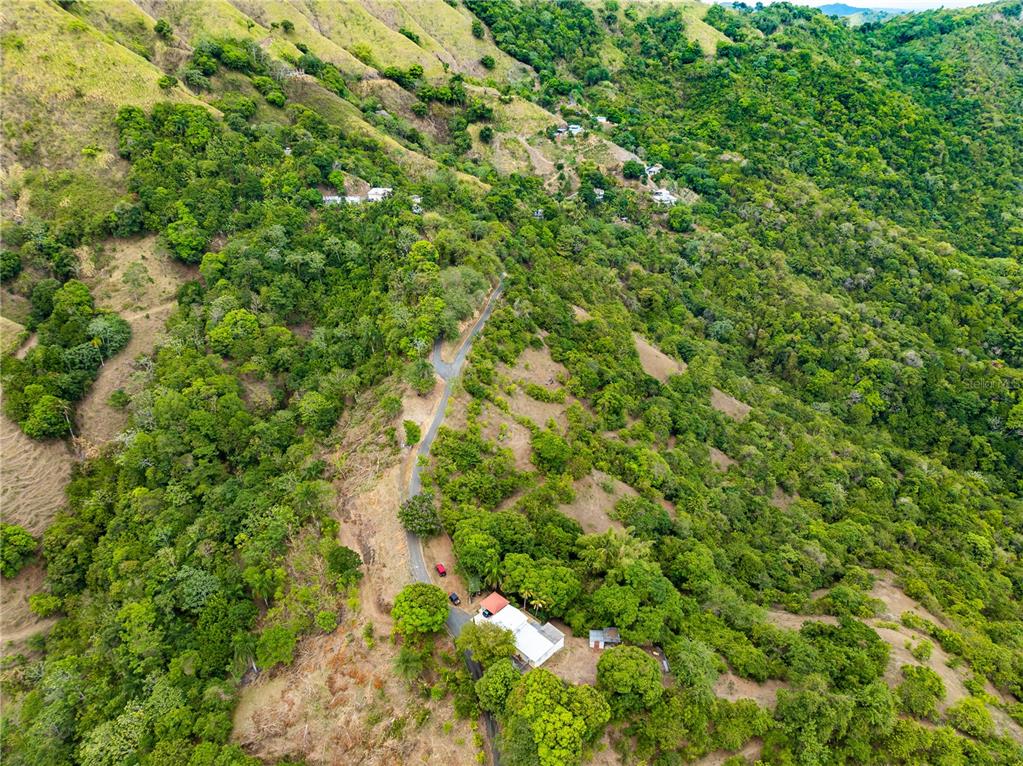 Tabonuco Ward, Sr 365 Km 6.4 Int, Sabana Grande - 4