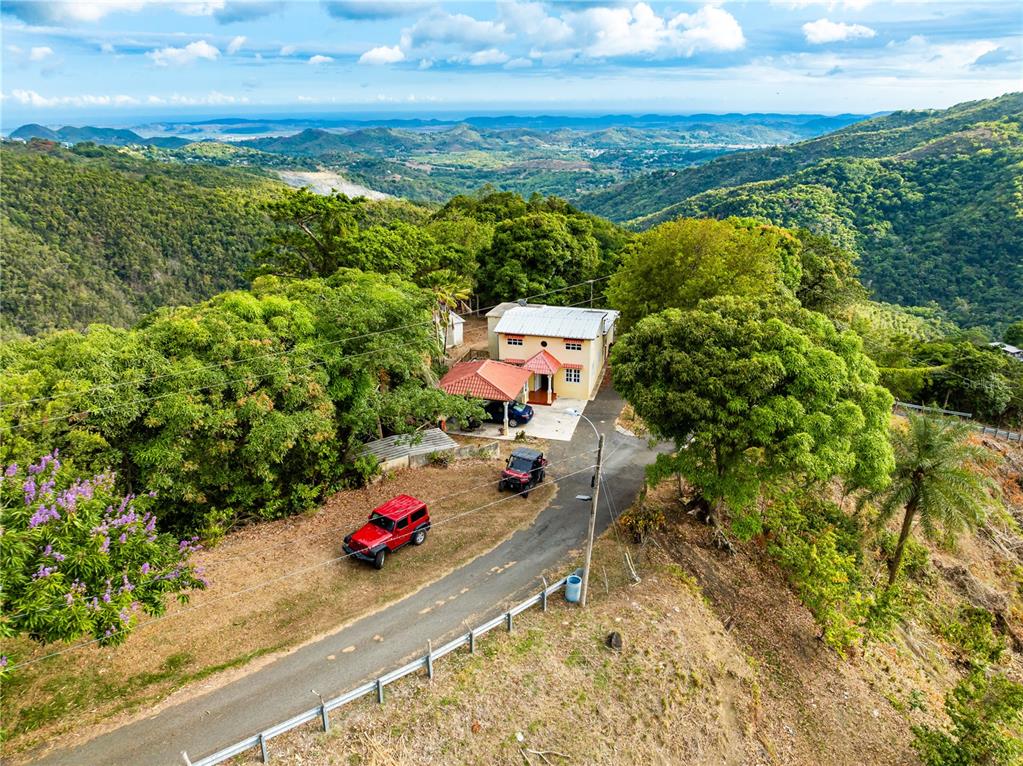 Tabonuco Ward, Sr 365 Km 6.4 Int, Sabana Grande - 8