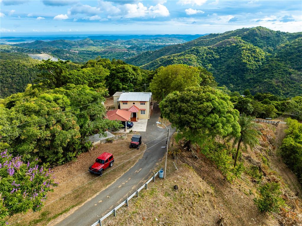 Tabonuco Ward, Sr 365 Km 6.4 Int, Sabana Grande - 9
