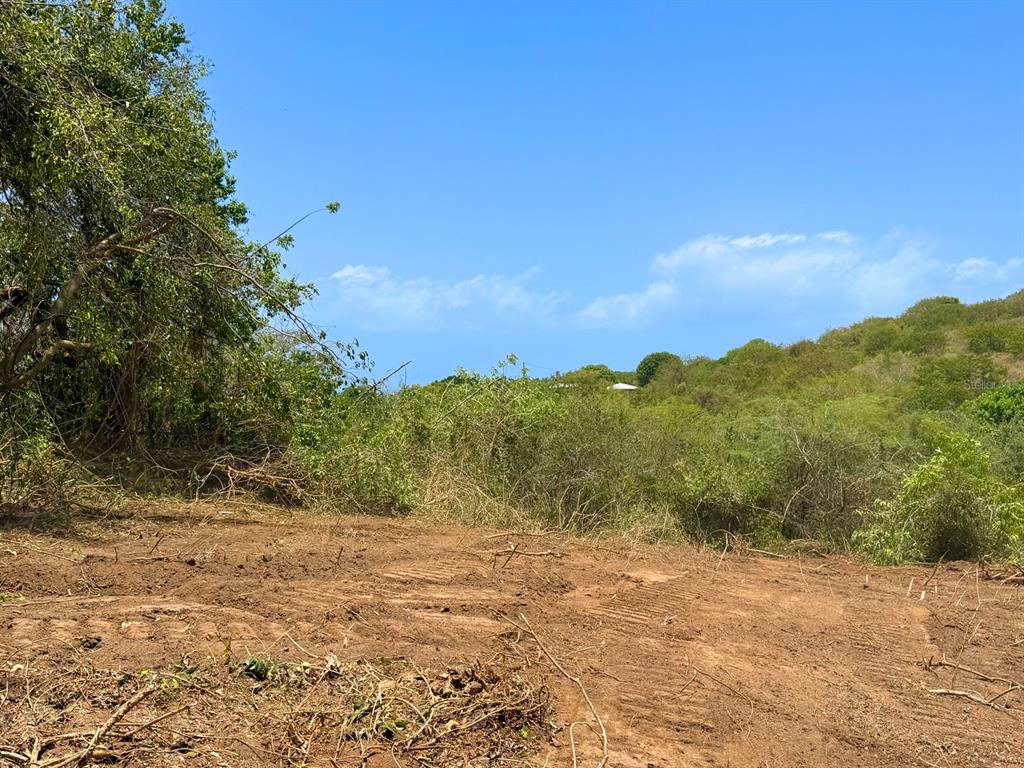 55, Calle De Batu, Vieques - 6