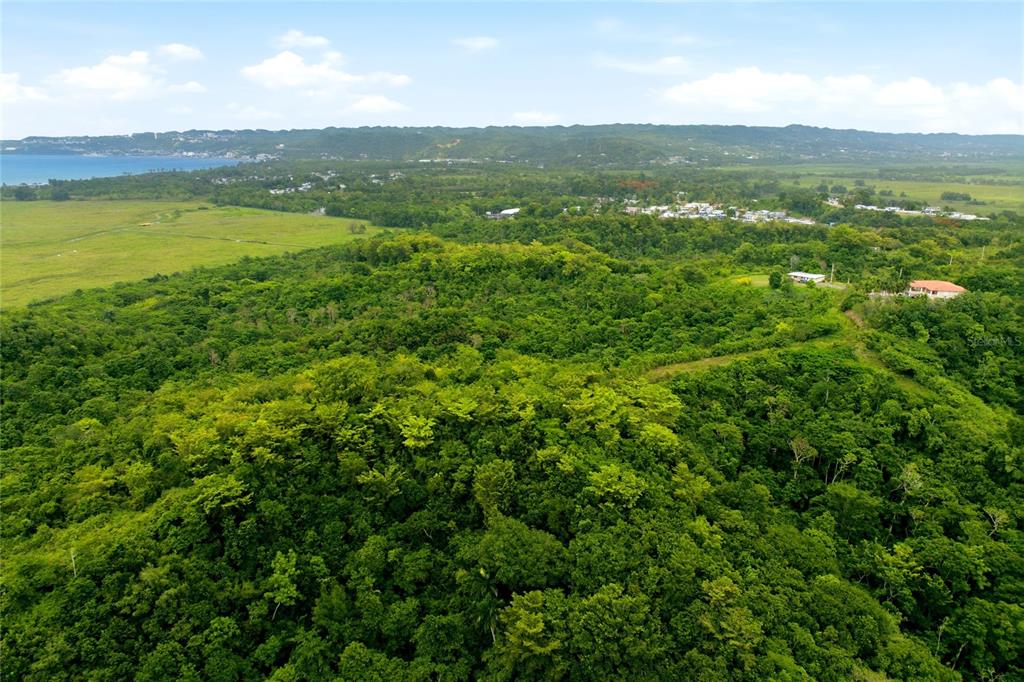 Carr 115, Km 25.000, Bo. Asomante, Aguada - 10