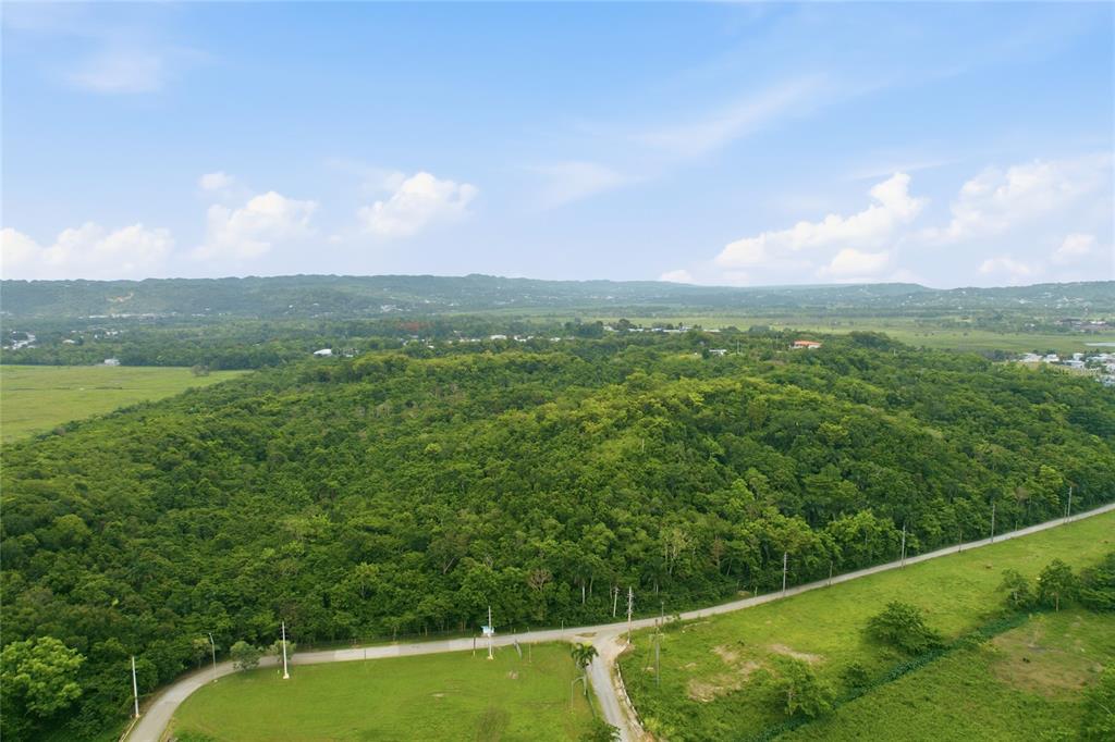 Carr 115, Km 25.000, Bo. Asomante, Aguada - 12