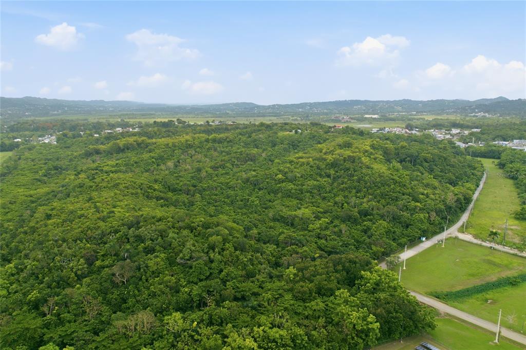 Carr 115, Km 25.000, Bo. Asomante, Aguada - 13