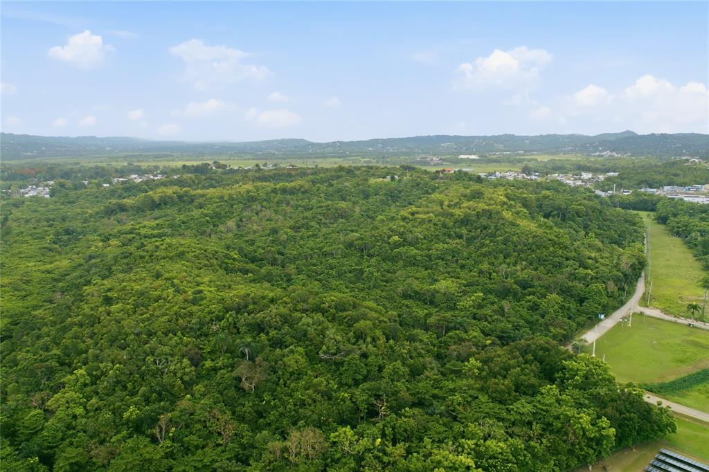 Carr 115, Km 25.000, Bo. Asomante, Aguada - 14