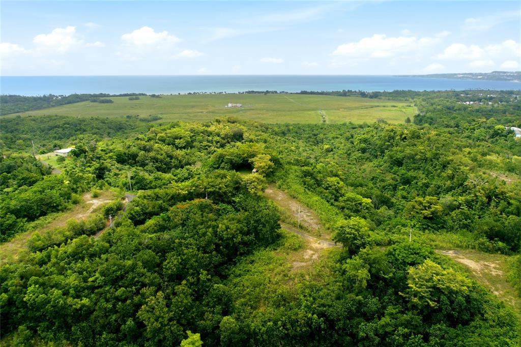 Carr 115, Km 25.000, Bo. Asomante, Aguada - 3