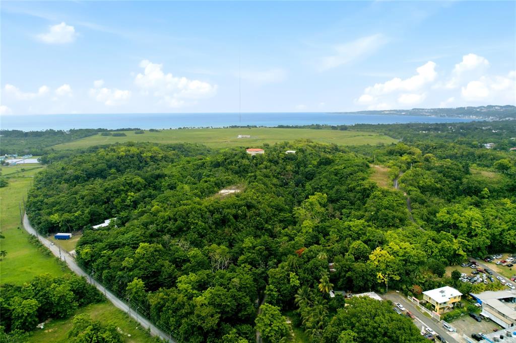 Carr 115, Km 25.000, Bo. Asomante, Aguada - 8