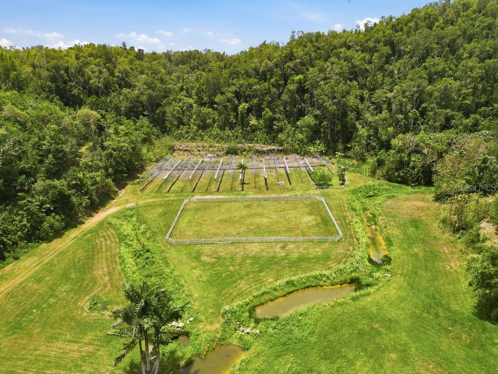 Pr 129, Espezanza Ward, Arecibo - 5
