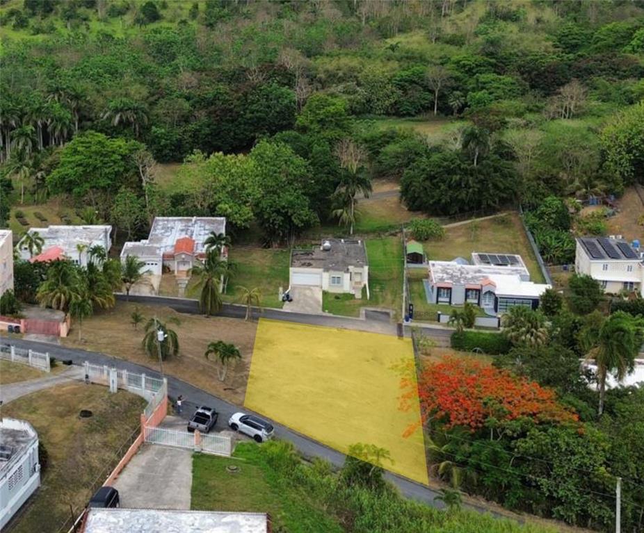 12 Miramelinda St, Paraiso Santa Barbara, Gurabo - 3