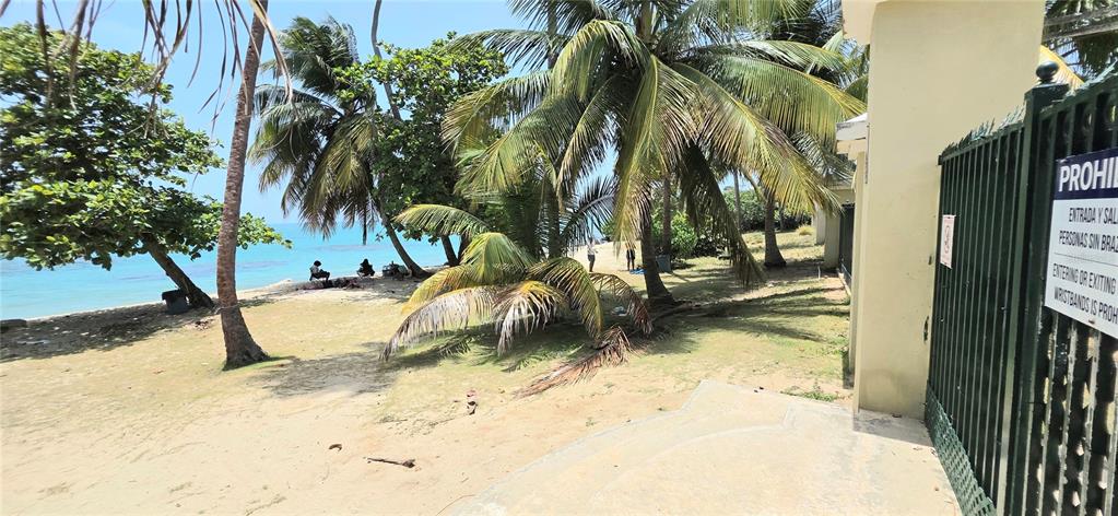 1601, Km 23.6, Pr-187 (a-8), Loiza - 5