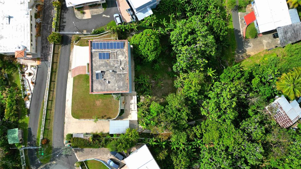 5.2, 831, Sector Los Torres Bo. Minillas, Bayamon - 27