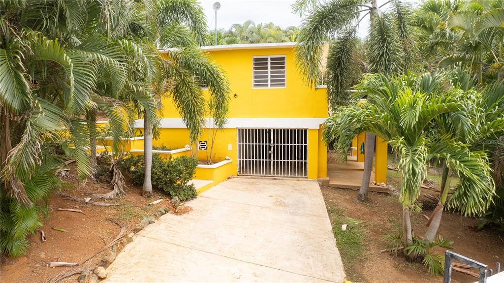 615, Bravos De Boston, Vieques - 2