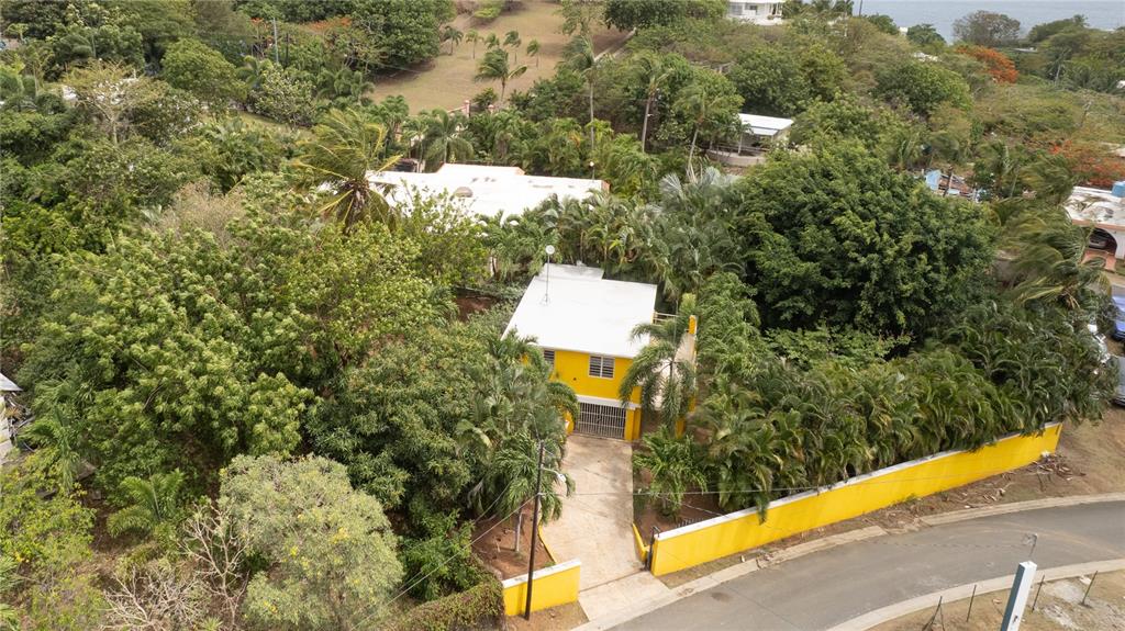 615, Bravos De Boston, Vieques - 3