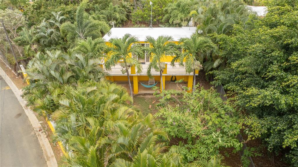 615, Bravos De Boston, Vieques - 4