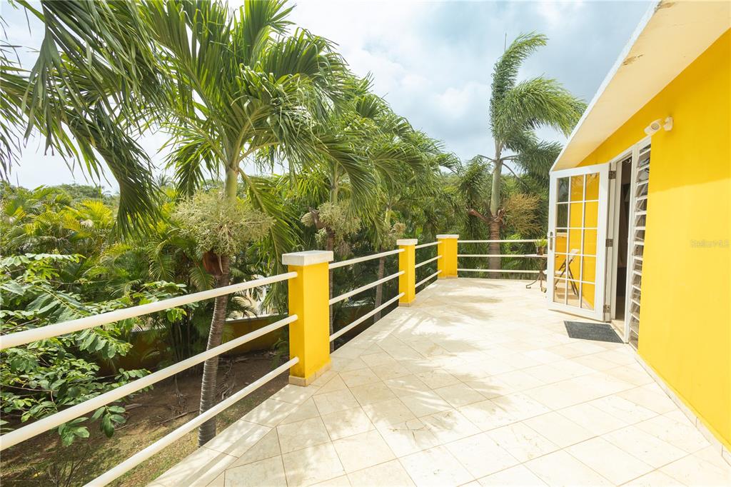 615, Bravos De Boston, Vieques - 5
