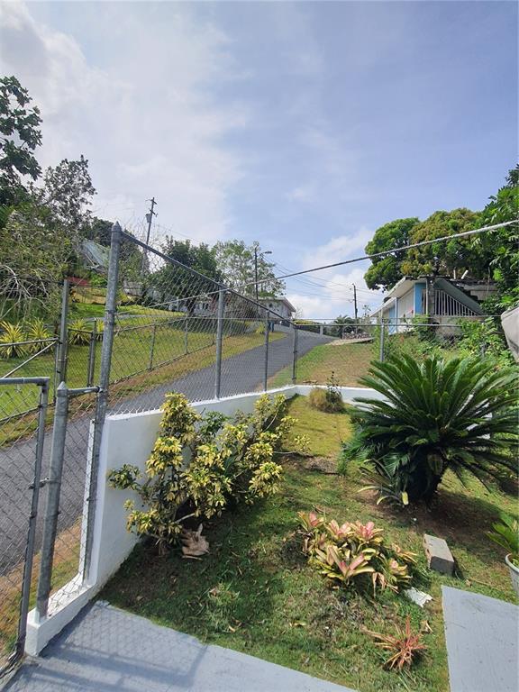 , Caguas - 17