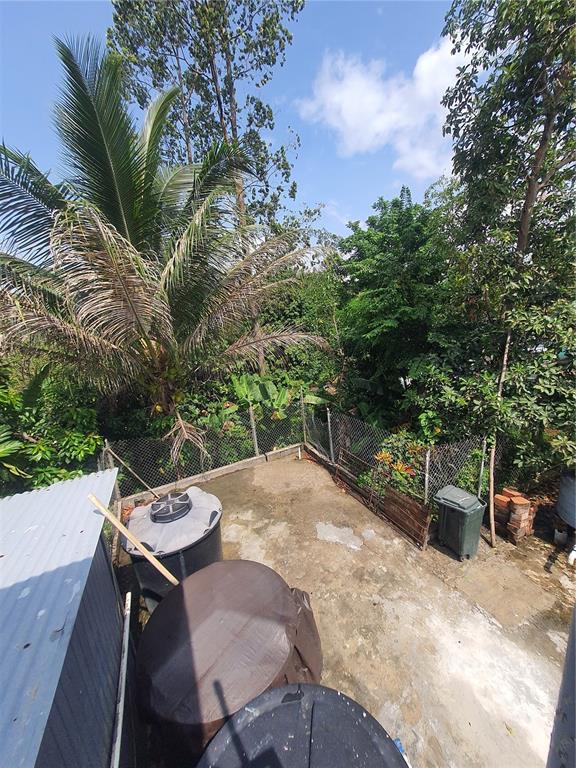 , Caguas - 19