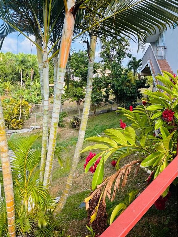 , Bayamon - 4