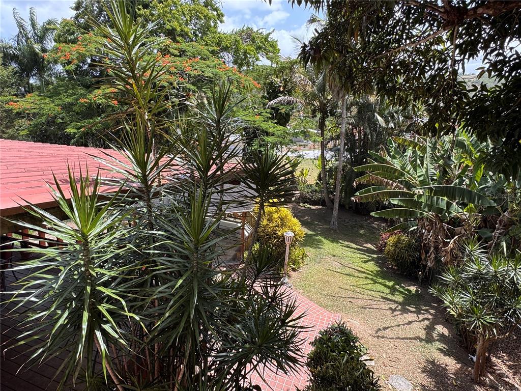 , Aibonito - 18