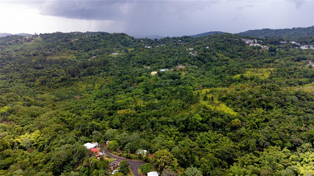 145, 339 St, Bo Montoso, Mayaguez - 10