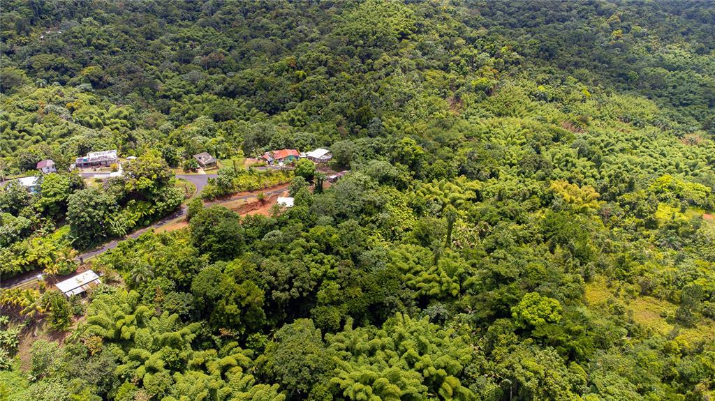 145, 339 St, Bo Montoso, Mayaguez - 11