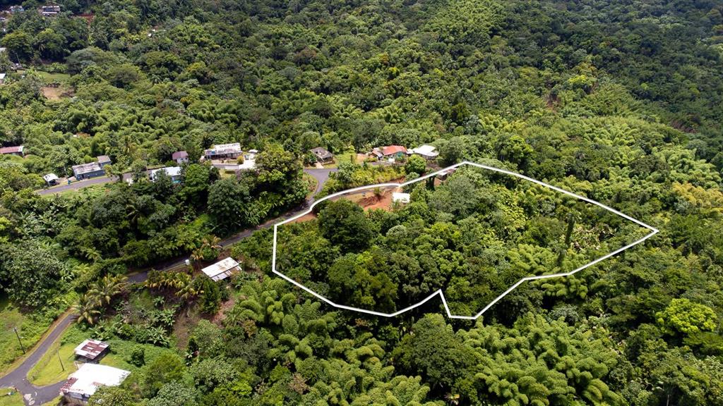145, 339 St, Bo Montoso, Mayaguez - 12