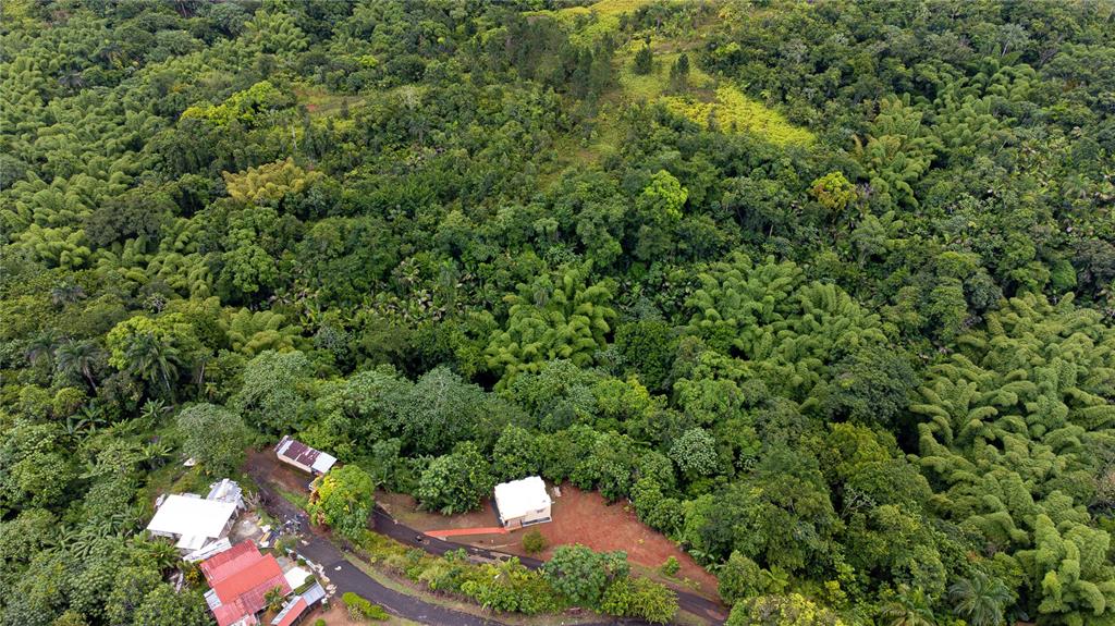 145, 339 St, Bo Montoso, Mayaguez - 9