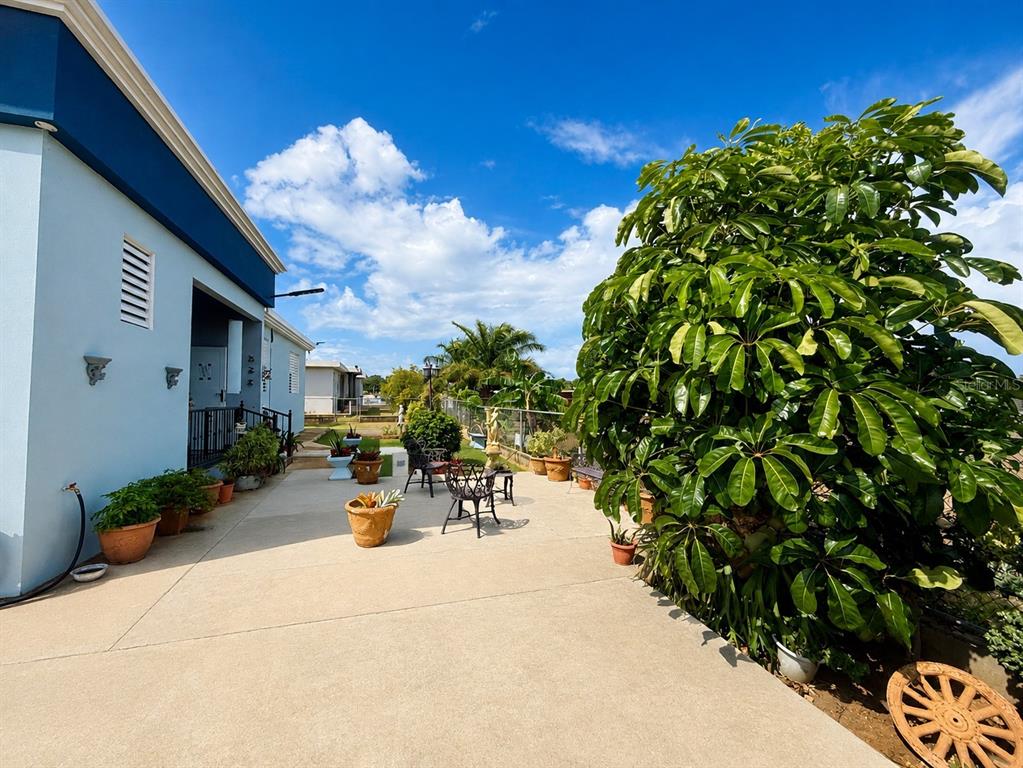 467, Barrio Camaseyes, Aguadilla, Km 4.8 Int, Aguadilla - 40