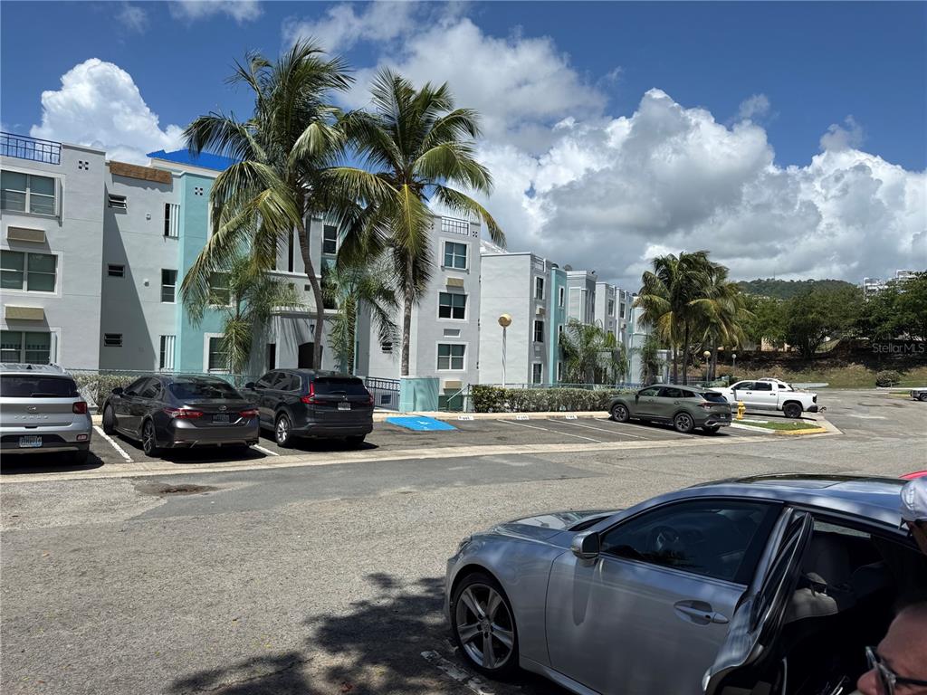 102, Costa Brava, Edif 8, Ceiba - 3