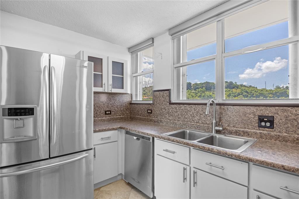 C-PH-D, 146 Ave Santa Ana, Bosque De La Villa De Torrimar, Guaynabo - 9