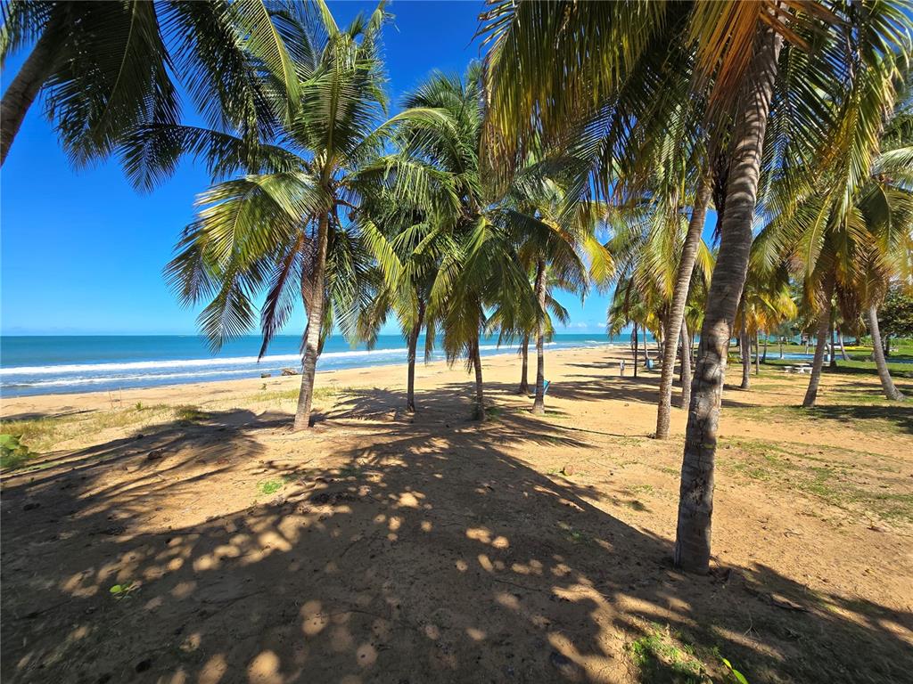 19, 351, Las Picaus, Playas Del Yunque, Rio Grande - 2