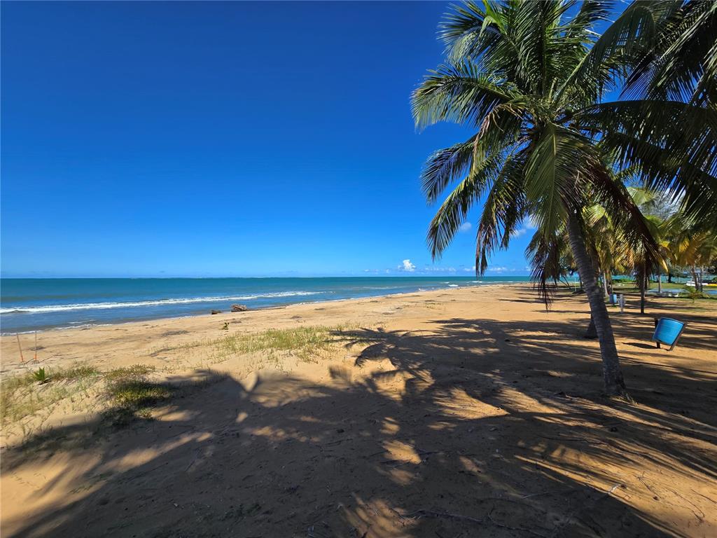 19, 351, Las Picaus, Playas Del Yunque, Rio Grande - 6