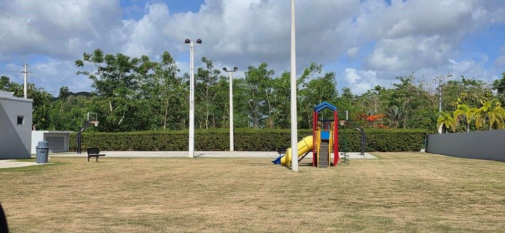 6, E, Paisaje, Caguas - 24
