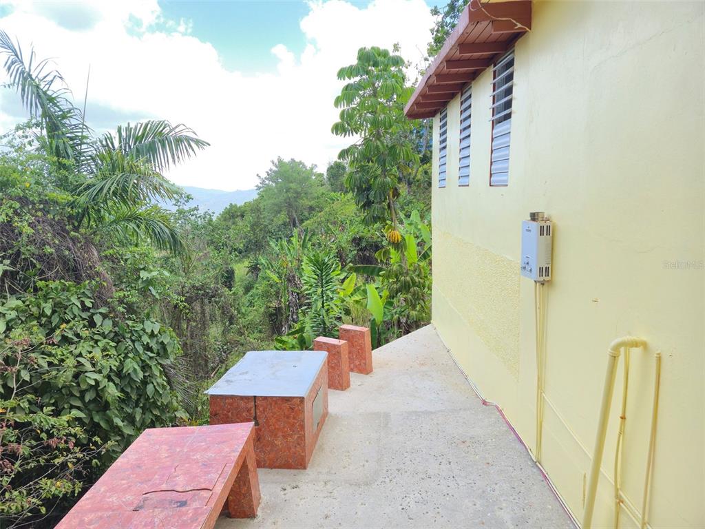 Pr 156 Km. 23.9, Rio Hondo Ward, Comerio - 35