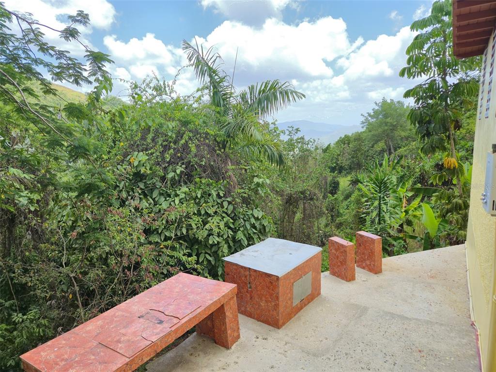 Pr 156 Km. 23.9, Rio Hondo Ward, Comerio - 36
